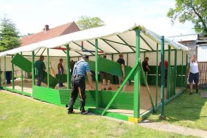 comp_IMG_0403